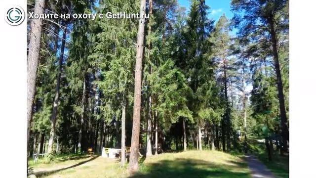 Охота в Ярославской области – Вощажниковское охотничье хозяйство ЯООиР охота на лося смотреть онлайн