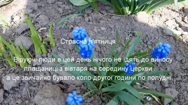 #БІЛИЙ#ЧИСТИЙ_ТИЖДЕНЬ смотреть онлайн