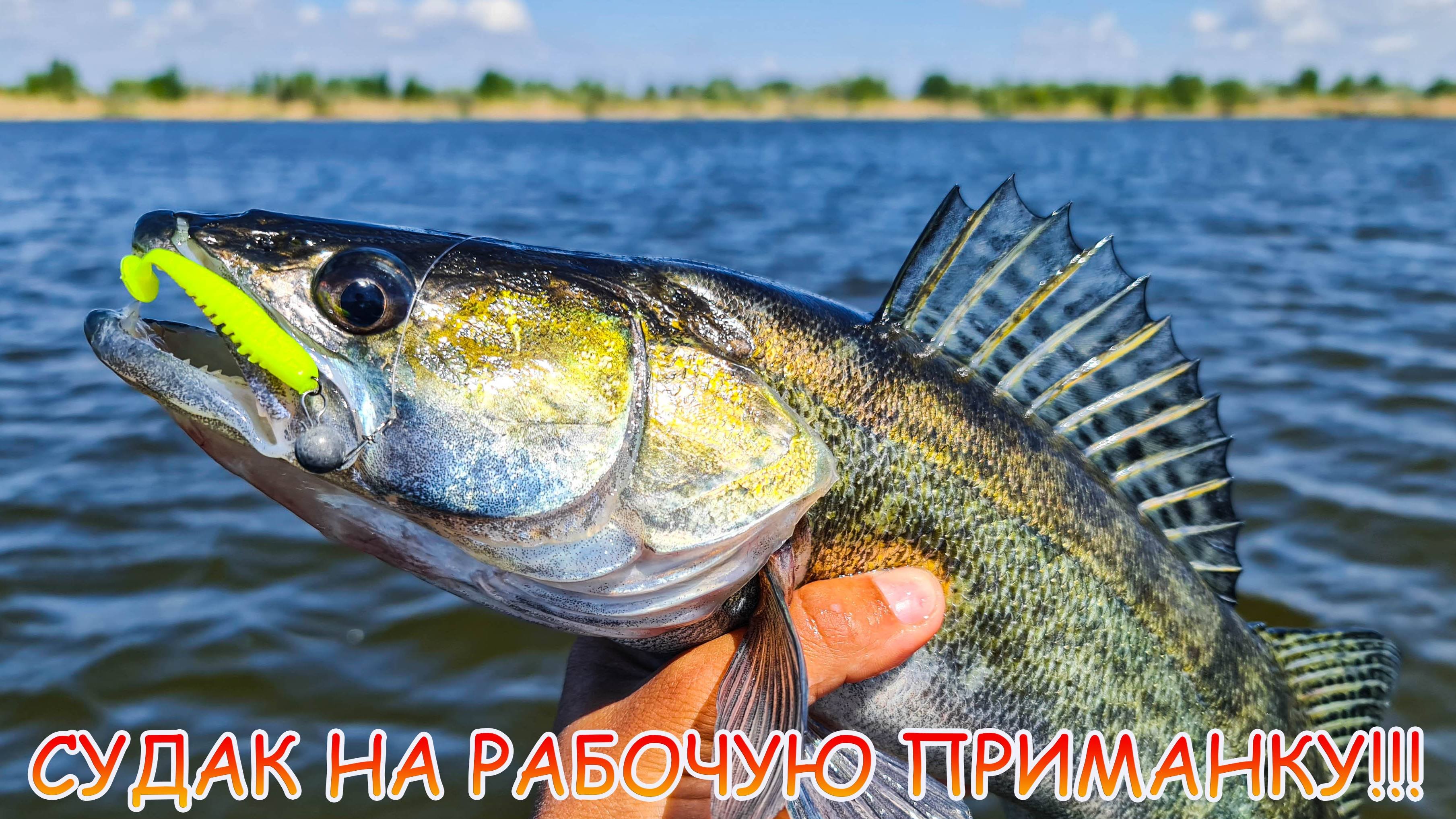 Где сейчас ловить судака? Джиг. Эта приманка ловит!!!