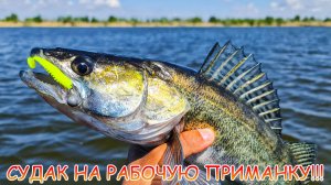 Где сейчас ловить судака? Джиг. Эта приманка ловит!!!
