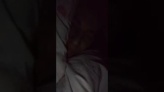 prostoel Спит в перископе чувакsoyuw soyen pey