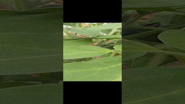 1000010658.mp4