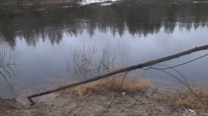 ЮКОНА 380 НДНД. ОТДЫХАЕМ ОТ МИРОВЫХ НОВОСТЕЙ