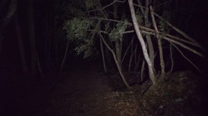 2K・Прогулка по ночному лесу Аокигахара (без пранков)