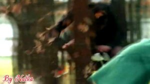 Ради любви я все смогу  "Маша и Костя" До рассвета