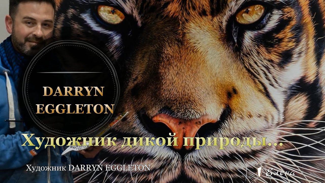 Художник дикой природы ГОДА Darryn Eggleton  .....           Wayra   Flight Song