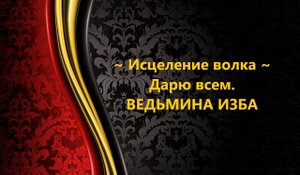 МОЛИТВА ВОЛКА..ИСЦЕЛЕНИЕ..ДАРЮ ВСЕМ.АВТОР: ИНГА ХОСРОЕВА