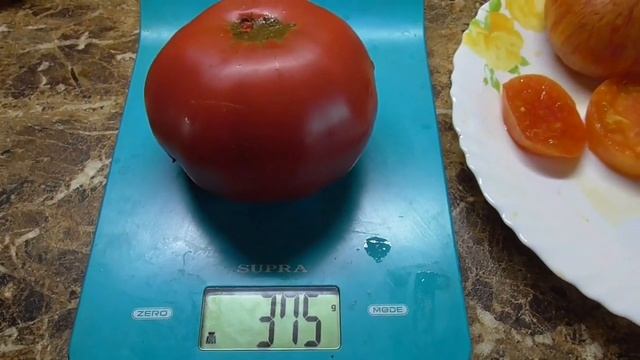 Томат Ручей фиолетовой собаки - мясистый, вкусный! Для салатов идеален! Дегустация.