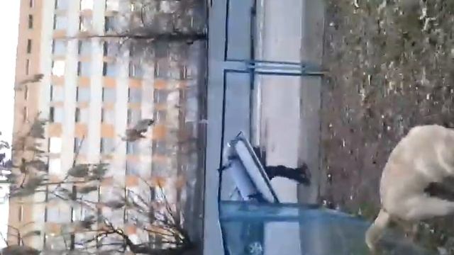 Чугунная ванна на ногах :D смотреть онлайн