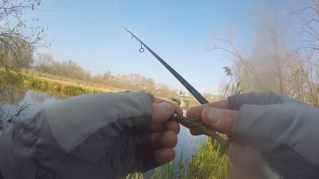ЩУКА НА МАЛОЙ РЕКЕ!!! Ультралайт ЗА 40$. Ловля на спиннинг осенью смотреть онлайн