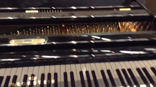 Bechstein 208 Grand Piano смотреть онлайн