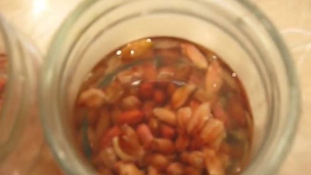 Подготовка арахиса к посадке в 2018 г смотреть онлайн