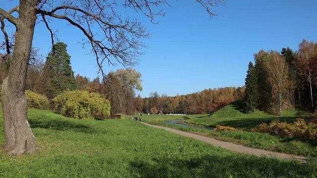 Санкт-Петербург. Павловский парк в солнечную погоду. 7 октября 2021 г. смотреть онлайн