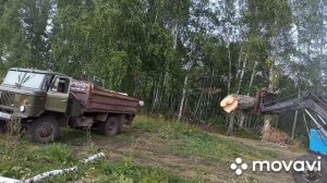 Грузим дрова бревна газ 66. МТЗ,5.4 куба