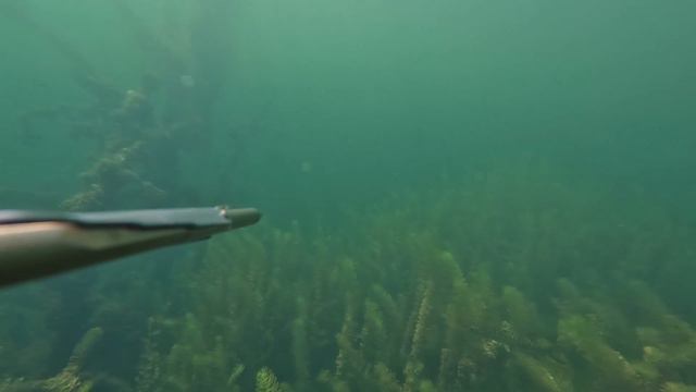 Отличный день на карьере смотреть онлайн