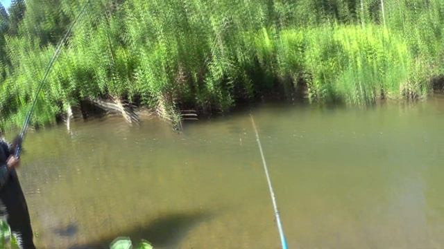 Самоизоляция за Хариусом по рекам Кузбасса. Сплав по реке. Открытие летнего сезона 2020. смотреть онлайн