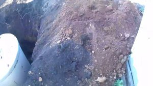 Новый шамбо или шамба