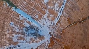 Кофейный столик из спила дуба и эпоксидной смолы /часть 2