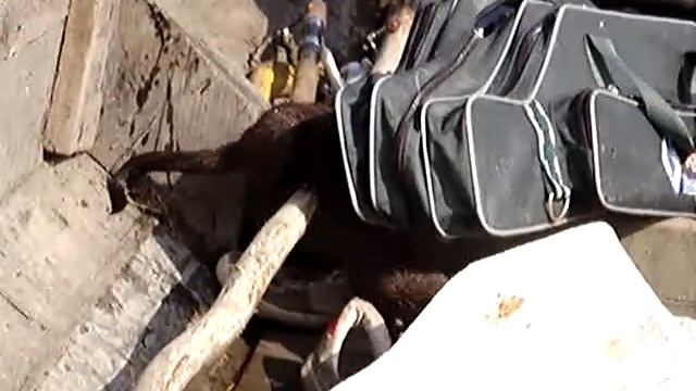 Таможня на р Хор смотреть онлайн