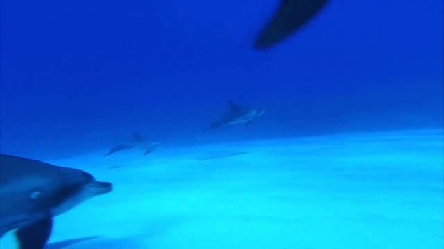 Музыка для релаксации "Под водой", HD смотреть онлайн