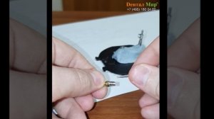 Оттиски (слепки) с имплантатов. Имплантат, формирователь, аналог и т.д. The impression with implant