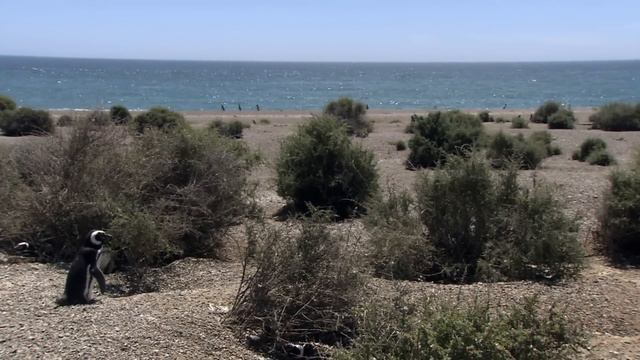 Водная жизнь - [24_26] Неопределенные воды (1080p) смотреть онлайн