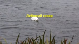 Город Себеж