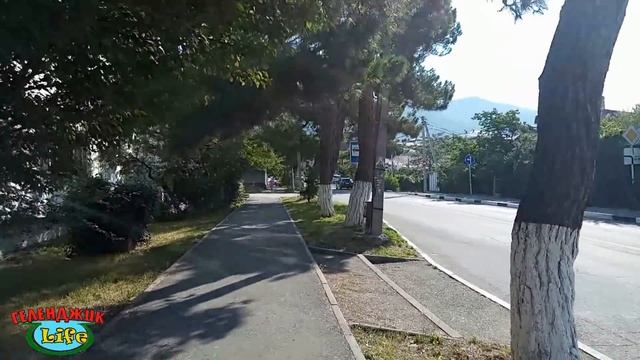 VLOG 514 Геленджик LIFE Жизнь в Геленджике летом