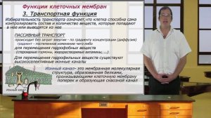Функции клеточных мембран