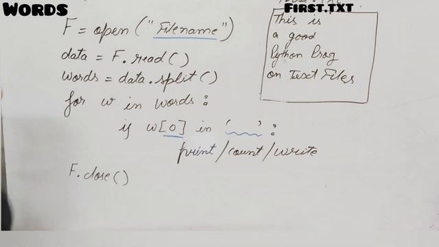 Text file | Python programs | Data file handling