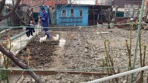Подготавливаем землю к посадке, часть 1_Жизнь в своем доме на берегу Черного моря.mp4