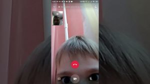 ШАМАРУС: Как переключать видеокамеры в WhatsApp