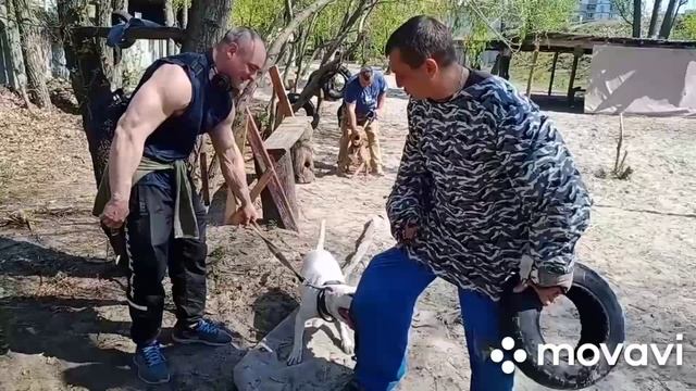 "Арес"школа охранных собак( рабочие будни)  Данила Должиков и Дмитрий Петровскиц