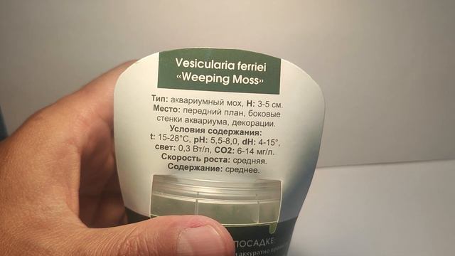 Живое аквариумное растение Мох Плачущий меристемное смотреть онлайн