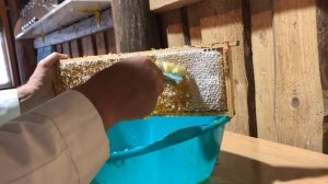 Откачка меда в ручной медогонке Lyson и распечатка медовых рамок.