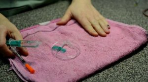 Укол крысе через катетер-бабочку