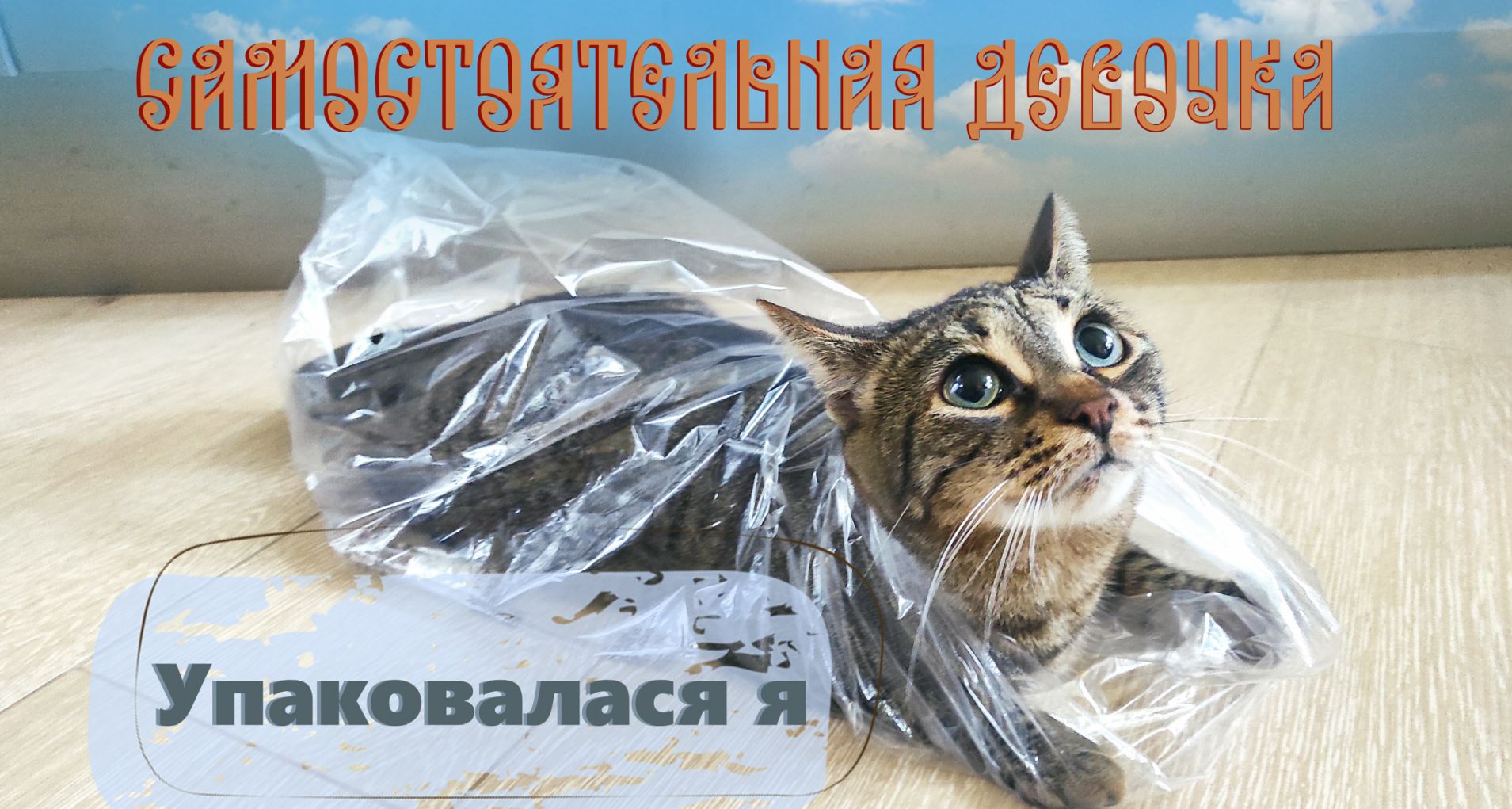 Кот с пакетом