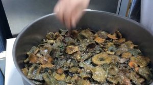 Засолка рыжиков как в старину