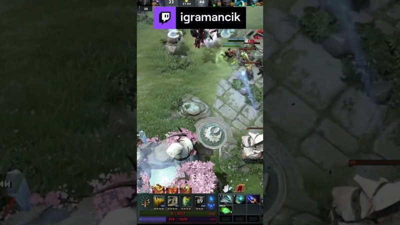 Dota2 SK SAPORT | igramancik с помощью #Twitch