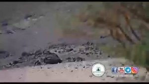 Зам зам сувини келиб чикиши