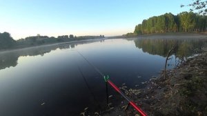 СИДЕЛИ РЫБАЧИЛИ!ПРИШЁЛ МЕСТНЫЙ И ЗАБРАЛ ВСЕХ КАРАСЕЙ!рыбалка на поплавок ловля линя и карася