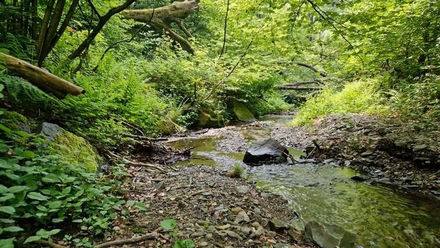 Приятный звук ручья и пение птиц для успокоения нервов, релаксации и сна. Быстро заснуть. Релаксаци смотреть онлайн