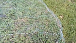 Кастинговые сети(переделка)