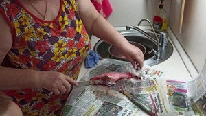 Дела домашние