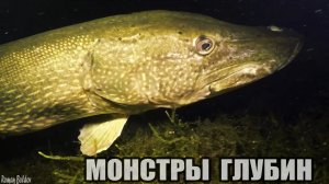 Рыбалка ГИГАНТСКИЕ ЩУКИ НАВОДЯТ СТРАХ ПОД ВОДОЙ! Подводная съемка. Самые Большие Щуки