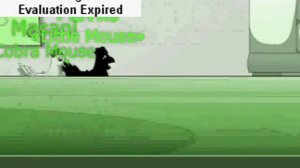 я курочка кококо :D