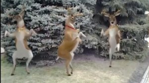 Динамическая разминка "А на улице мороз!"