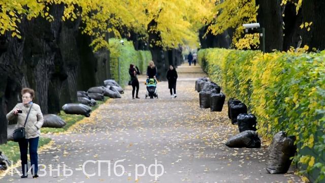 Золотая осень в Летнем саду Петербурга смотреть онлайн