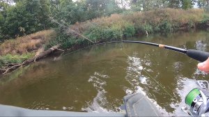 ЗАБРОС - ЗАЦЕП , ЗАБРОС - РЫБА! Рыбалка в ЛЮТОМ КОРЯЖНИКЕ на спиннинг на реке