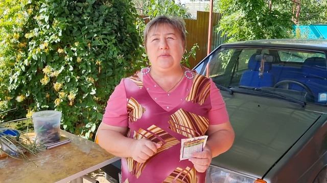 Работаем с виноградом.Нормируем , пасынкуем и подвязываем лозы. смотреть онлайн